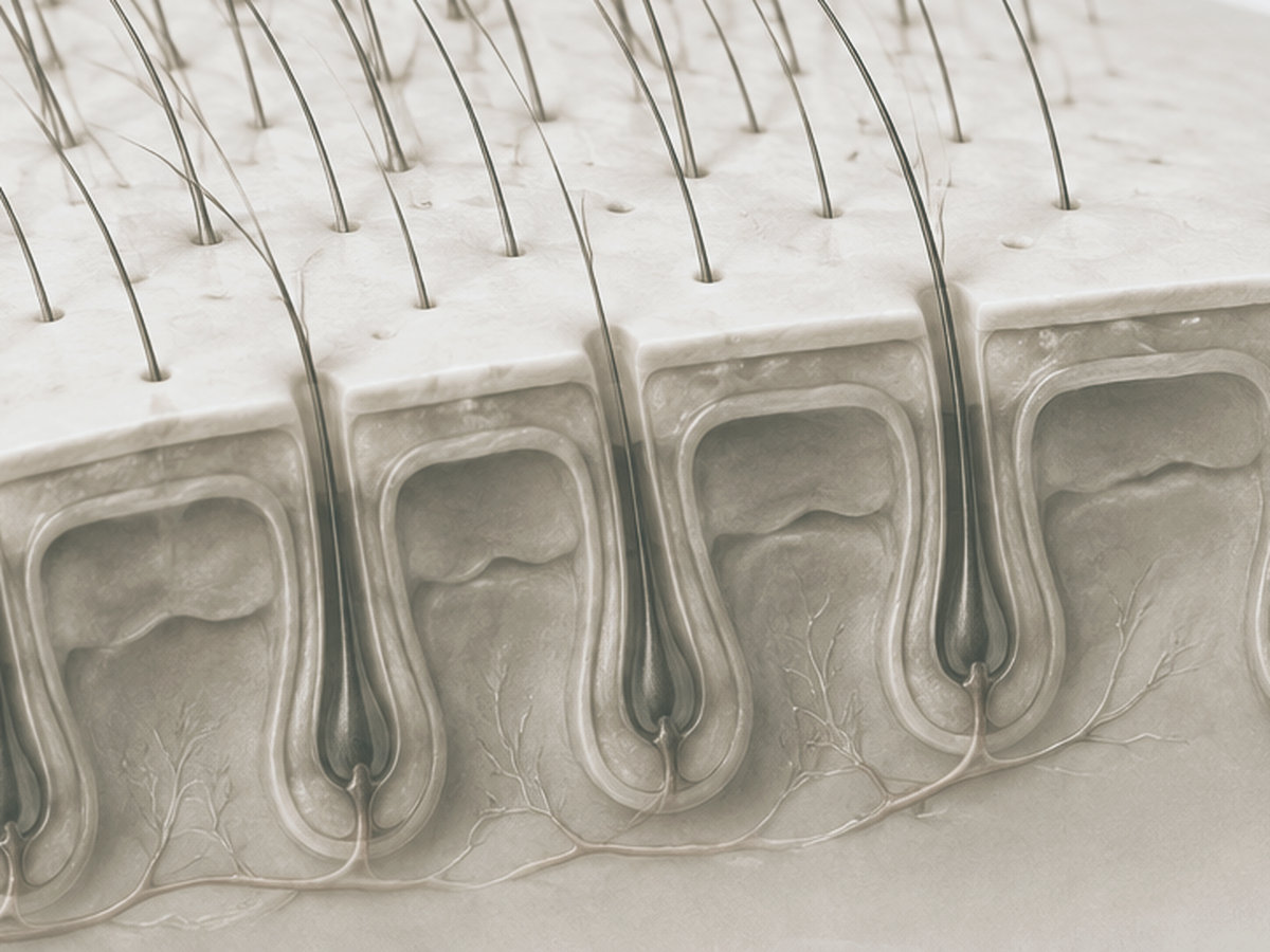 Exosomes and hair loss: the promise and the legal position